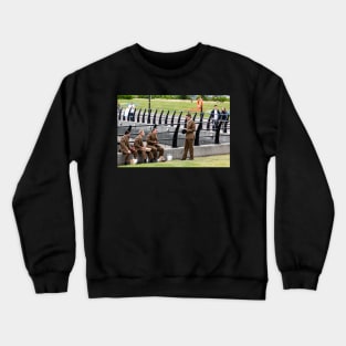 National Armed Forces Day 17 Crewneck Sweatshirt